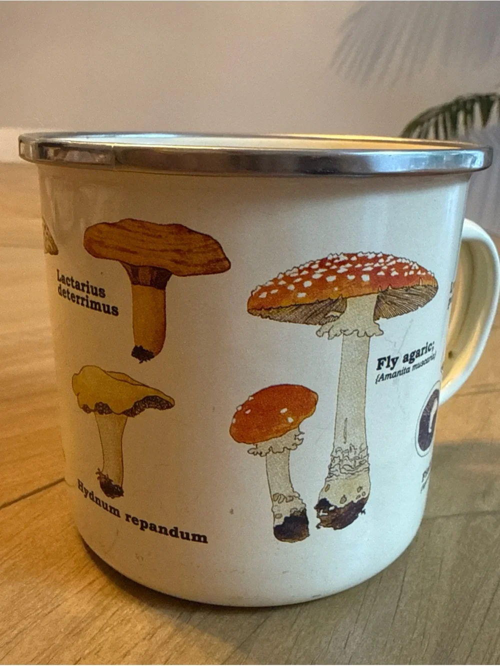 Gift Republic Mushroom Fungi Coffee Enamel Coffee Mug 16oz  Multicolor